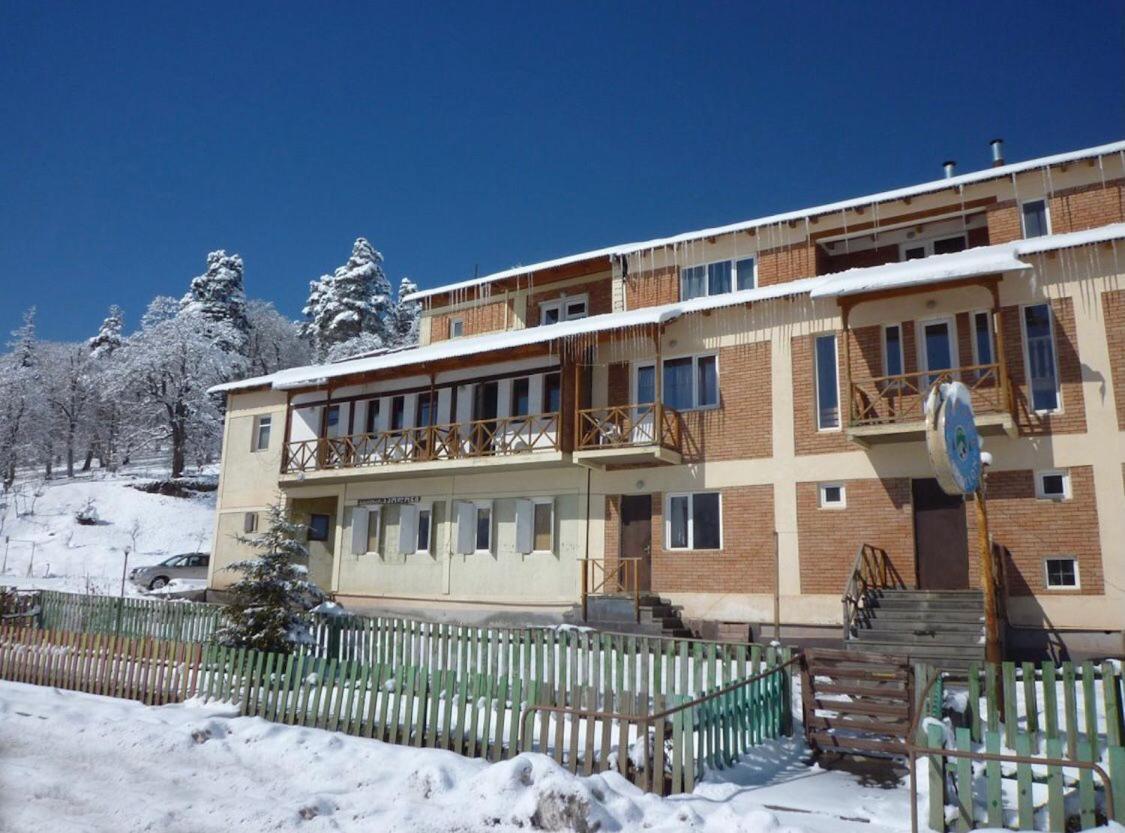 Hotel Apollon Bakuriani Bagian luar foto