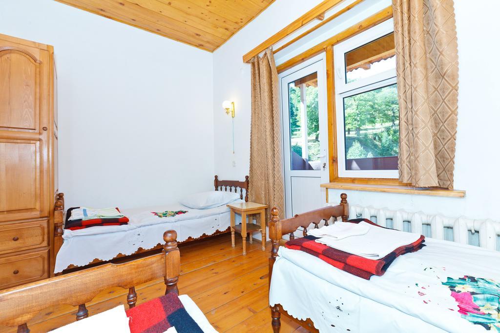 Hotel Apollon Bakuriani Ruang foto